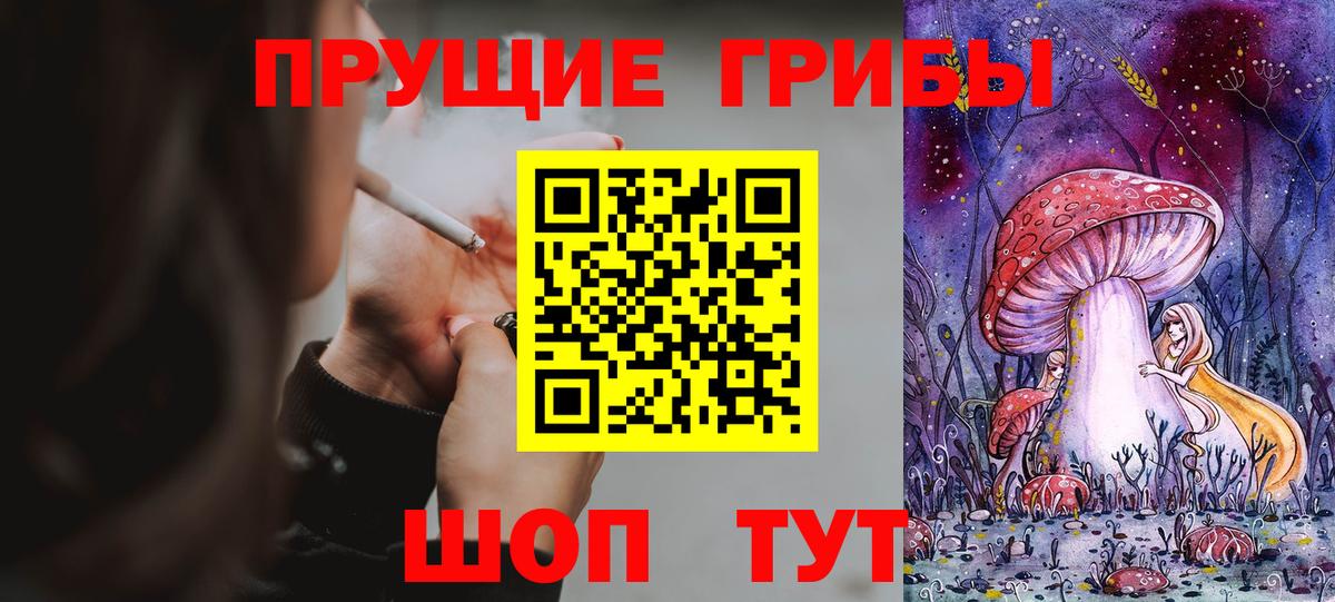 Псилоцибиновые грибы прущие грибы  Вход с VPN  сколько стоит  Котельники 